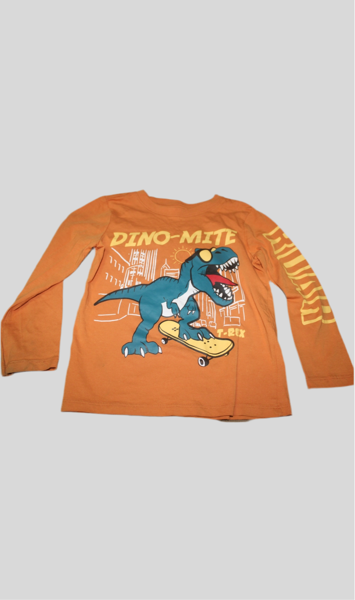 Dino LS shirt 4T