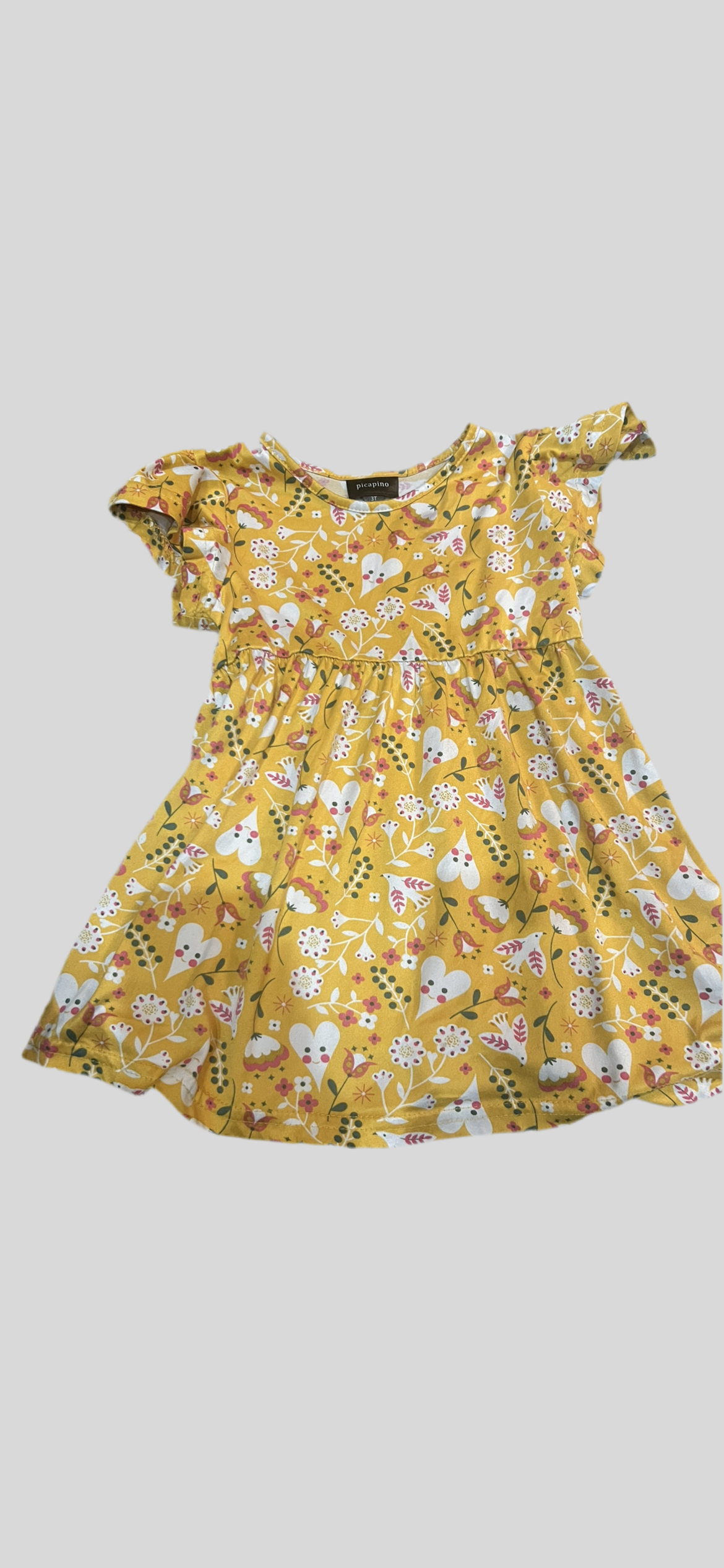 Dress 3T